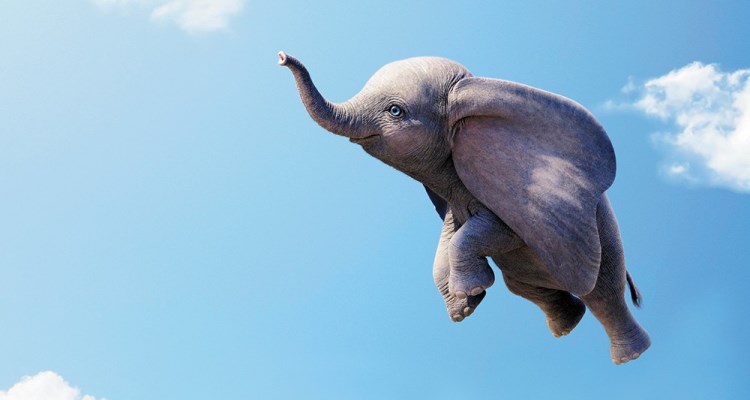 From Beach to Jungle: My Unexpected Elephant Adventure in Phuket