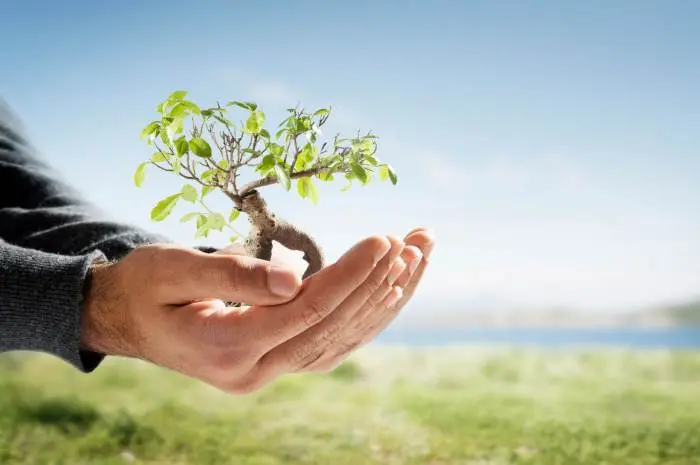 Sustainable Living, A Guide to Eco-Friendly Choices